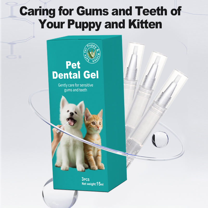 Pet Supplies: Cat and Dog Teeth-Cleaning Pens (3-Pack)