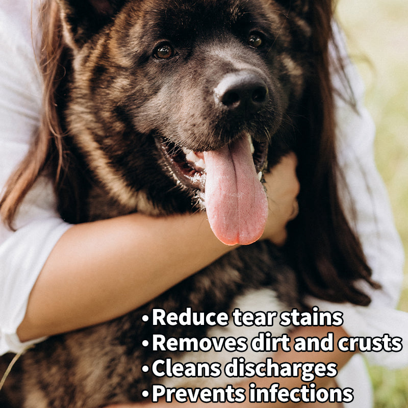 Pet Supplies: Eye Wipes for Cats and Dogs