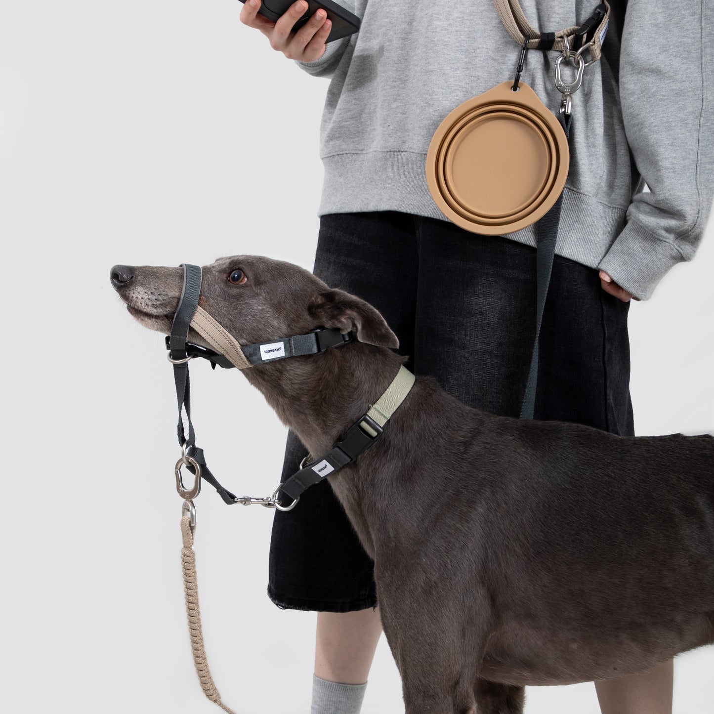 Valley Dog Head Collar & Leash Set