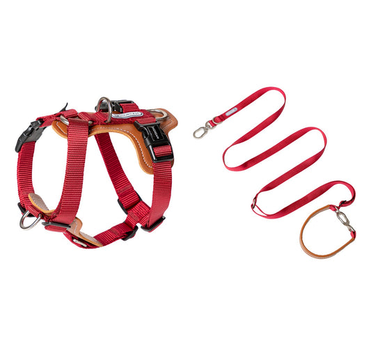 Bobo dog harness and matching crossbody leash set in red