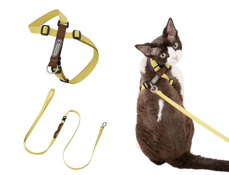 Figure-8 cat harness and matching leash set in yuzu yellow