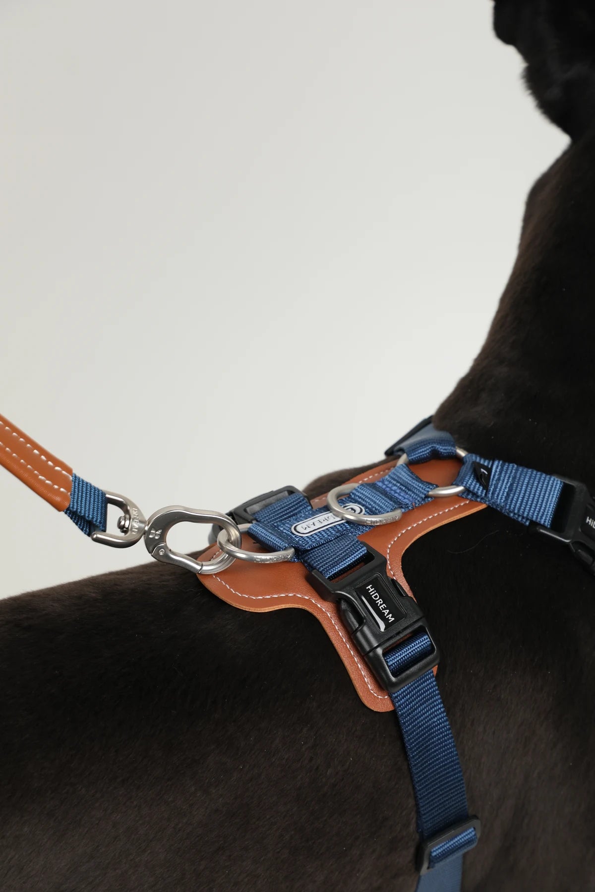 Bobo harness leash clip and back attachment detail