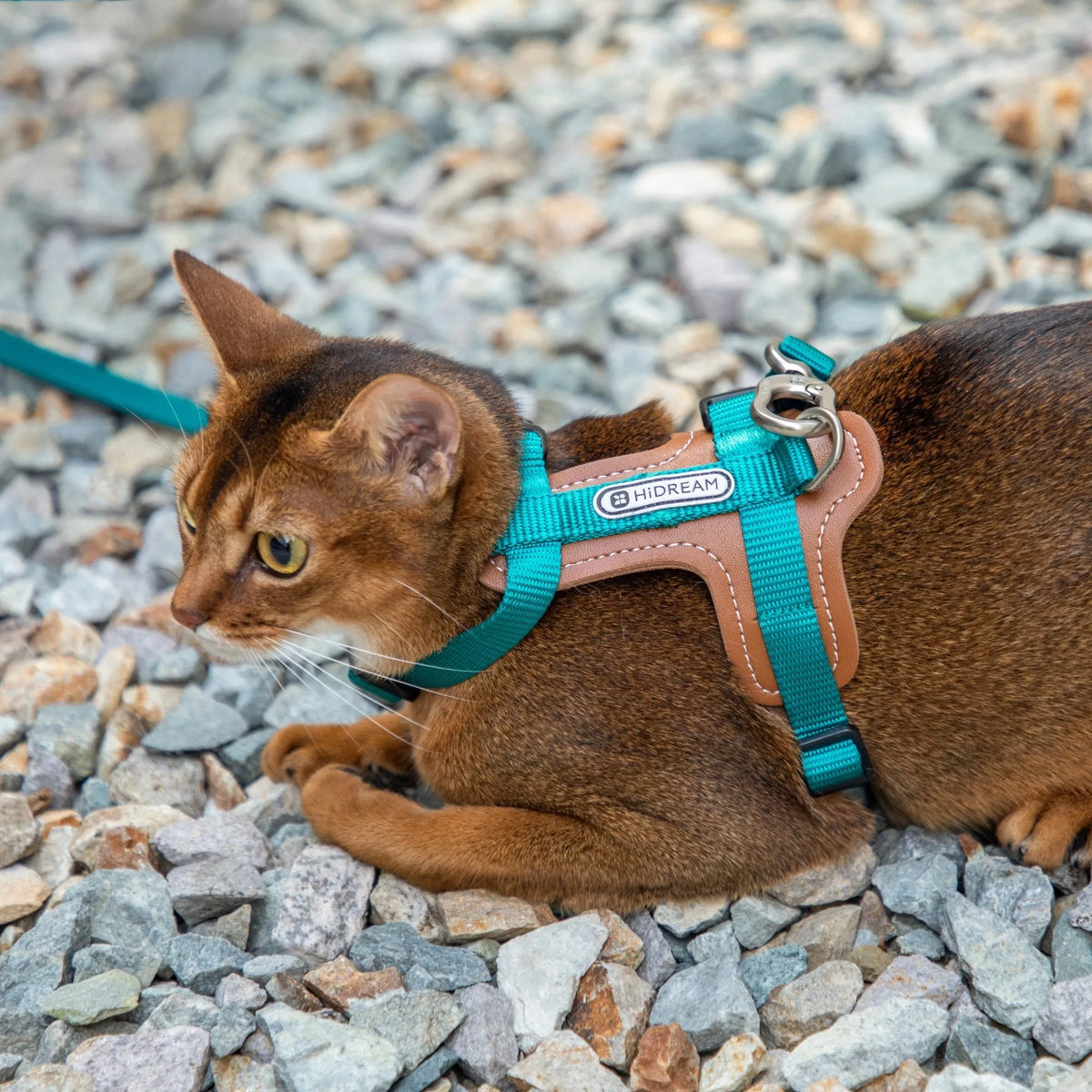 Bobo Leather Patchwork Cat Harness Set – image 3
