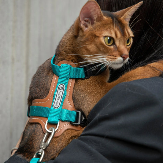 Bobo Leather Patchwork Cat Harness Set – image 2