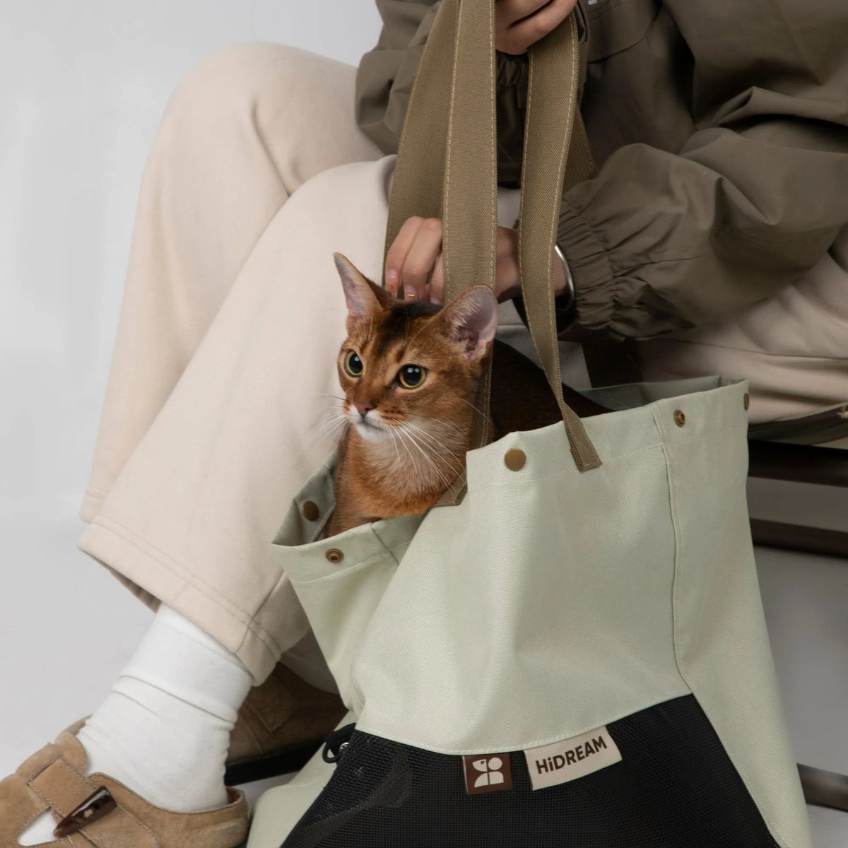 Padded Pet Carrier Tote – image 3