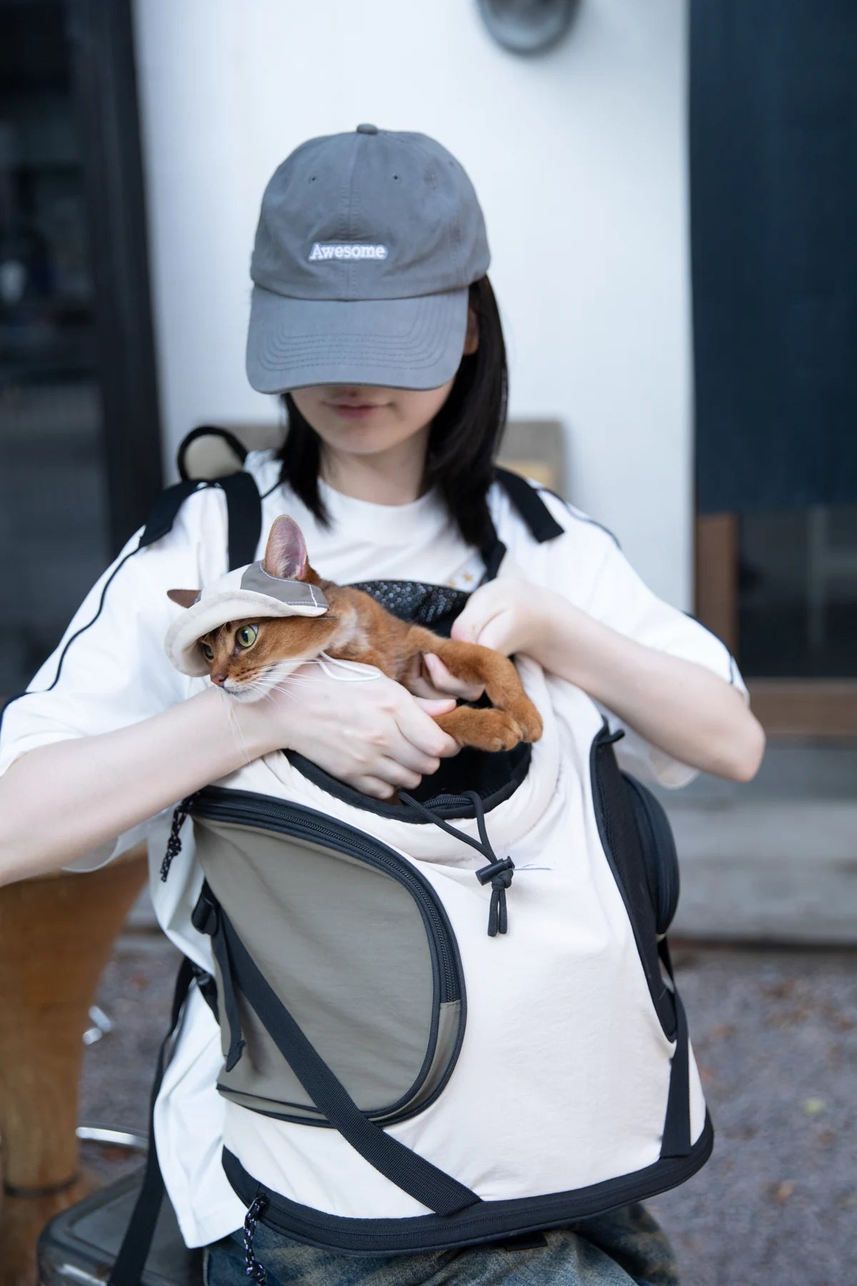 Owner gently adjusting a Milk Brown cap on a cat