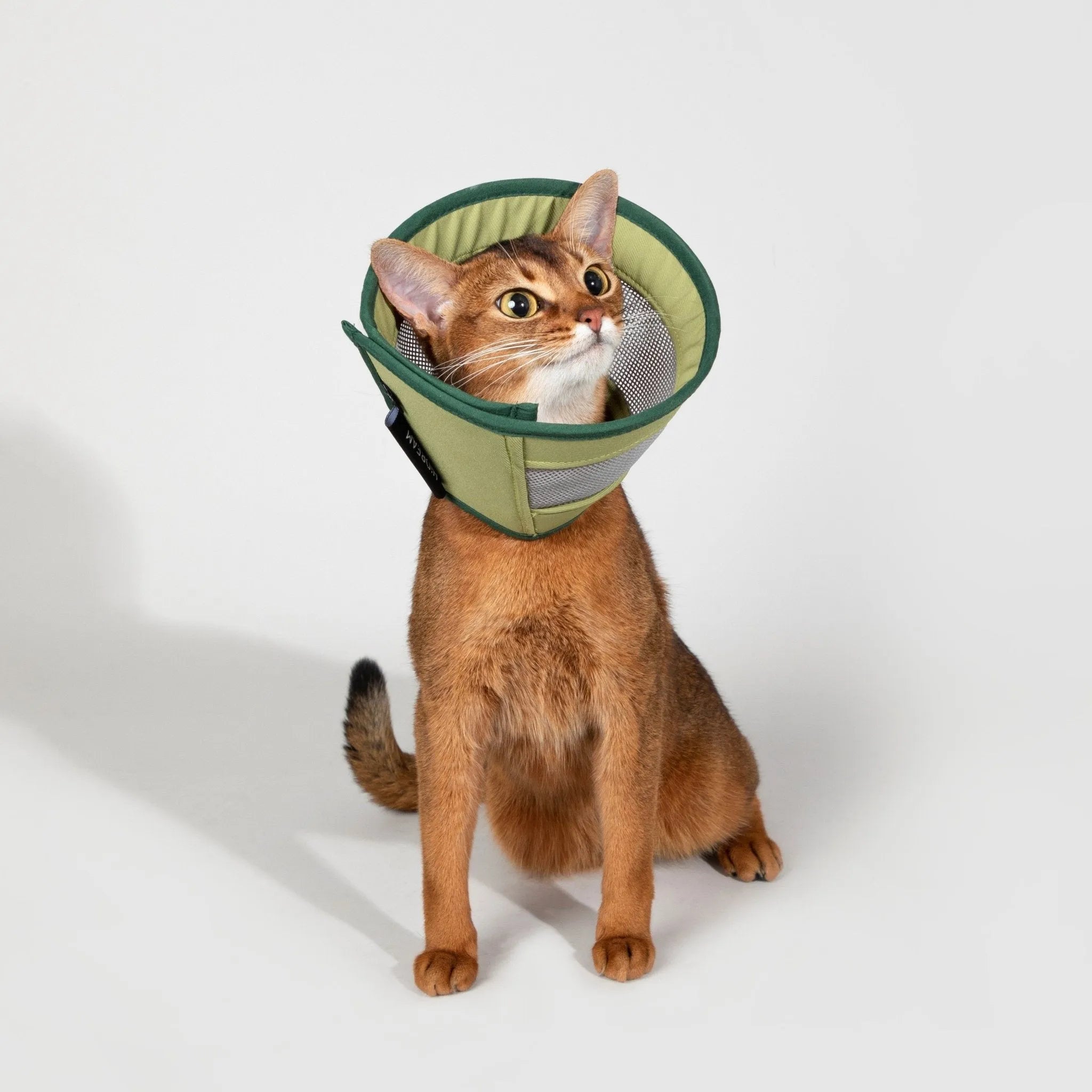 Mesh Elizabethan Ring - HiDREAM