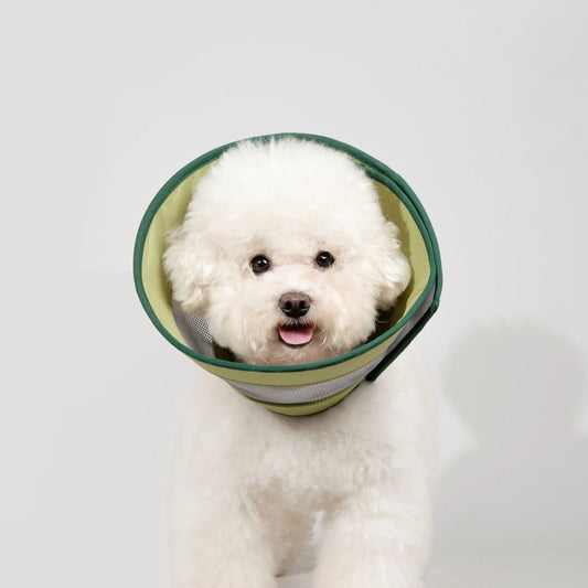 Breathable Mesh Pet Recovery Cone – image 2