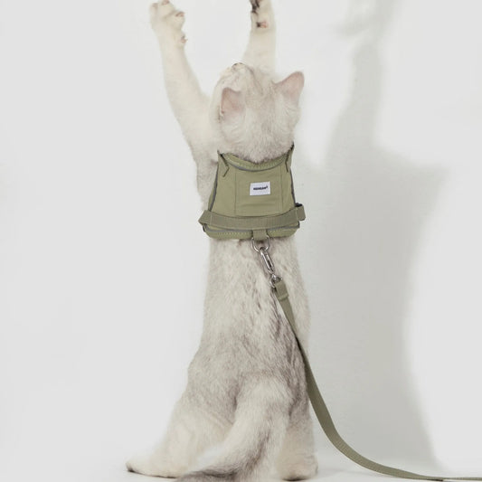 Valley Cat Harness & Leash Set