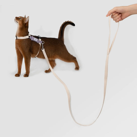 Valley Lightweight Cat Harness & Leash Set – image 2