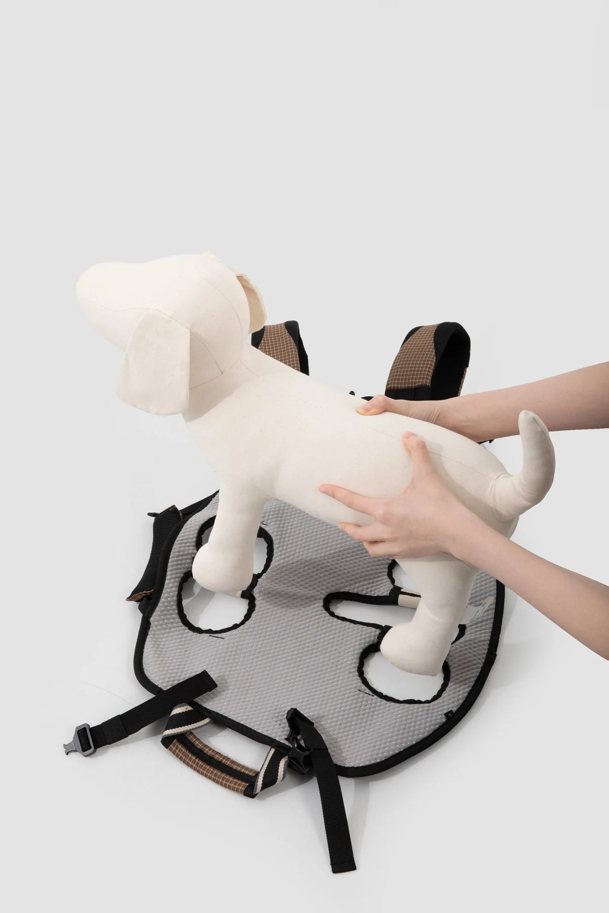Open carrier and leg positions demonstrated on a model dog