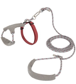 Soft Cat Harness & Adjustable Leash