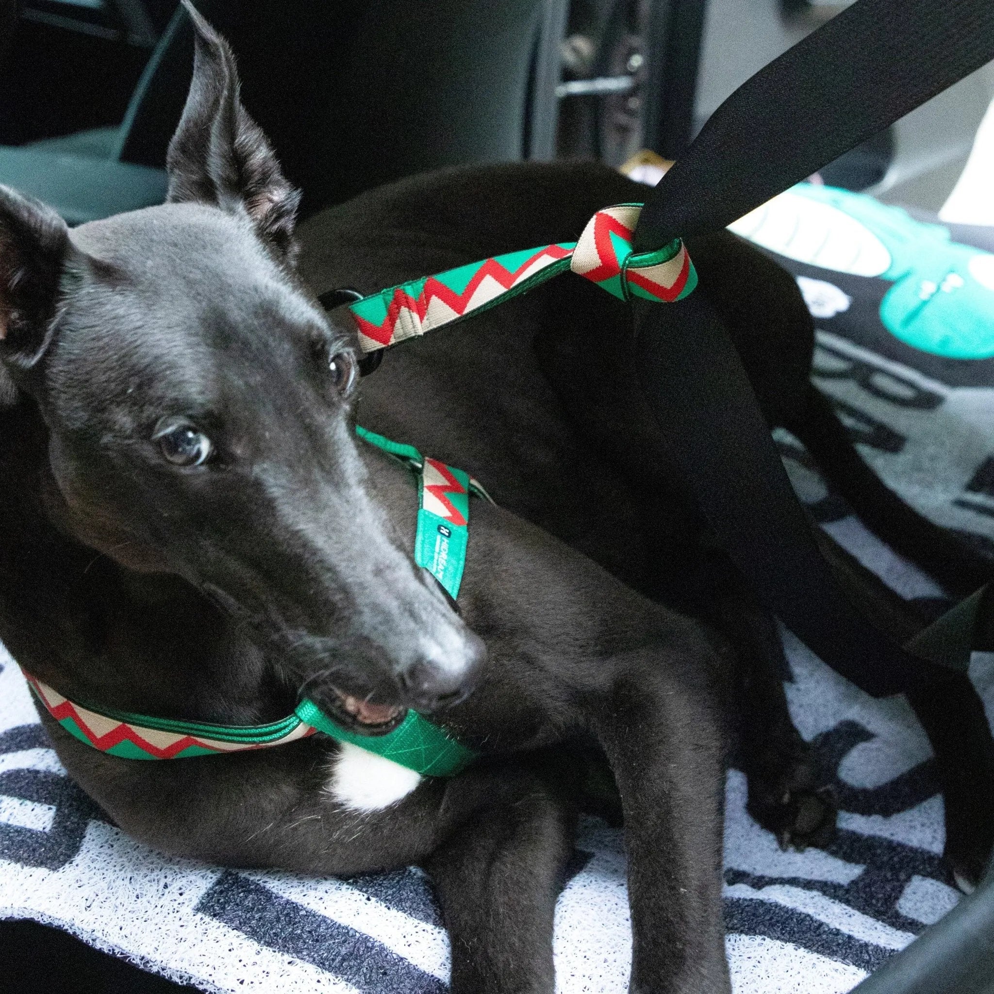 Rainbow Series - Multi - functional Leashs & Figures - HiDREAM