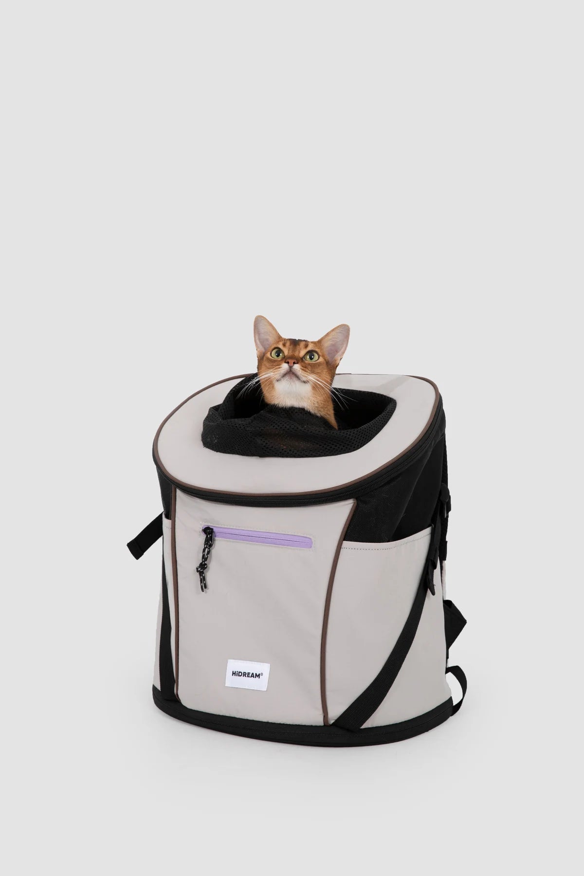 Gray carrier with a cat showing the top opening
