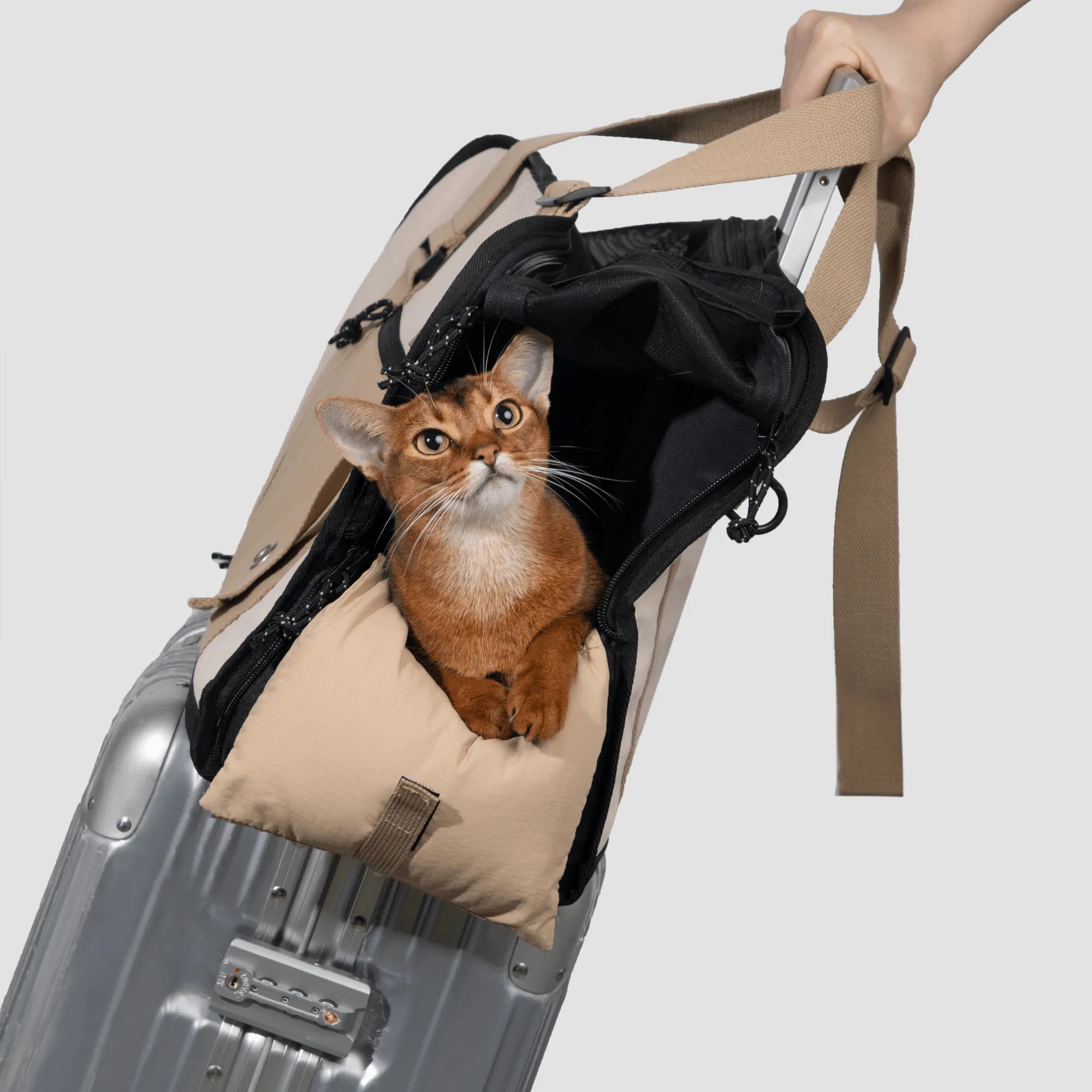 Semi - open Papoose Bag - HiDREAM