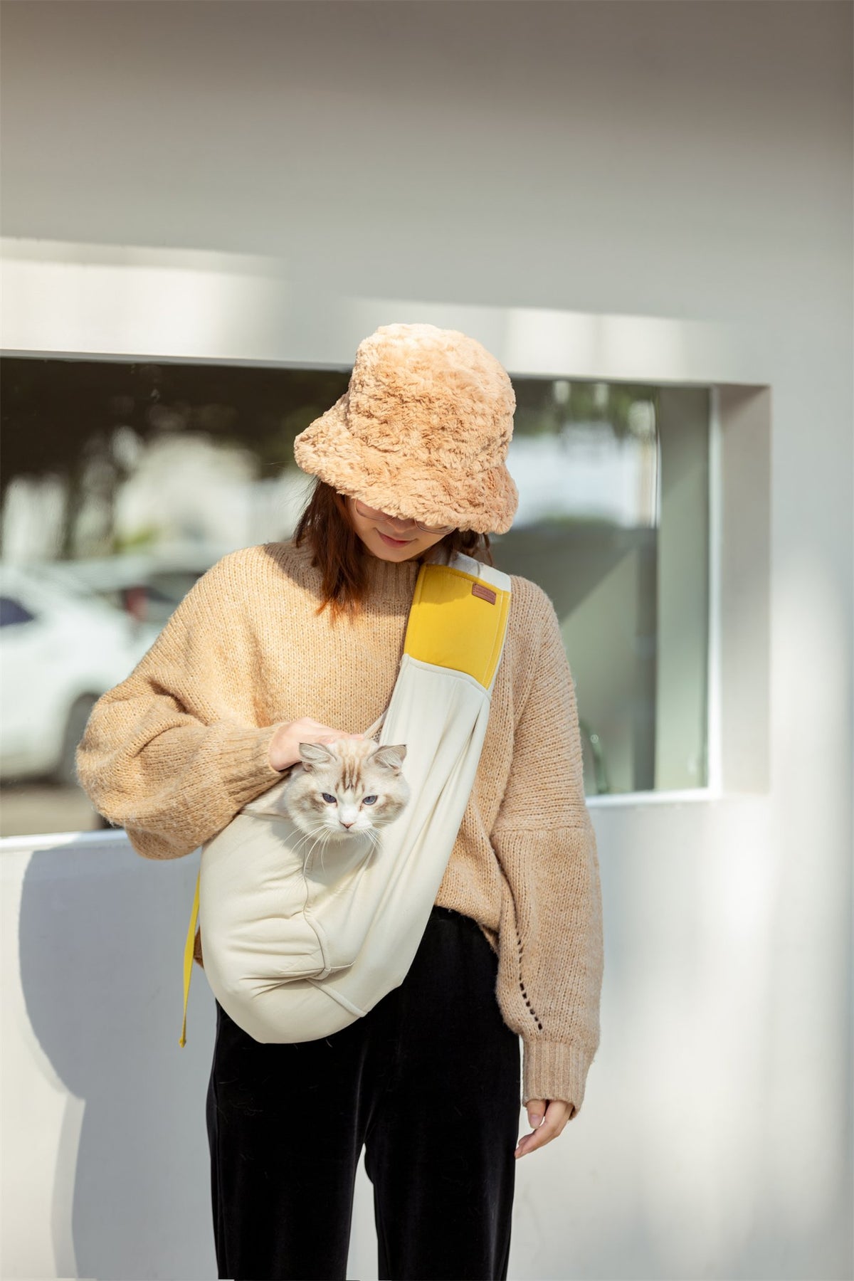 Cat in the pet sling on a coffee stop