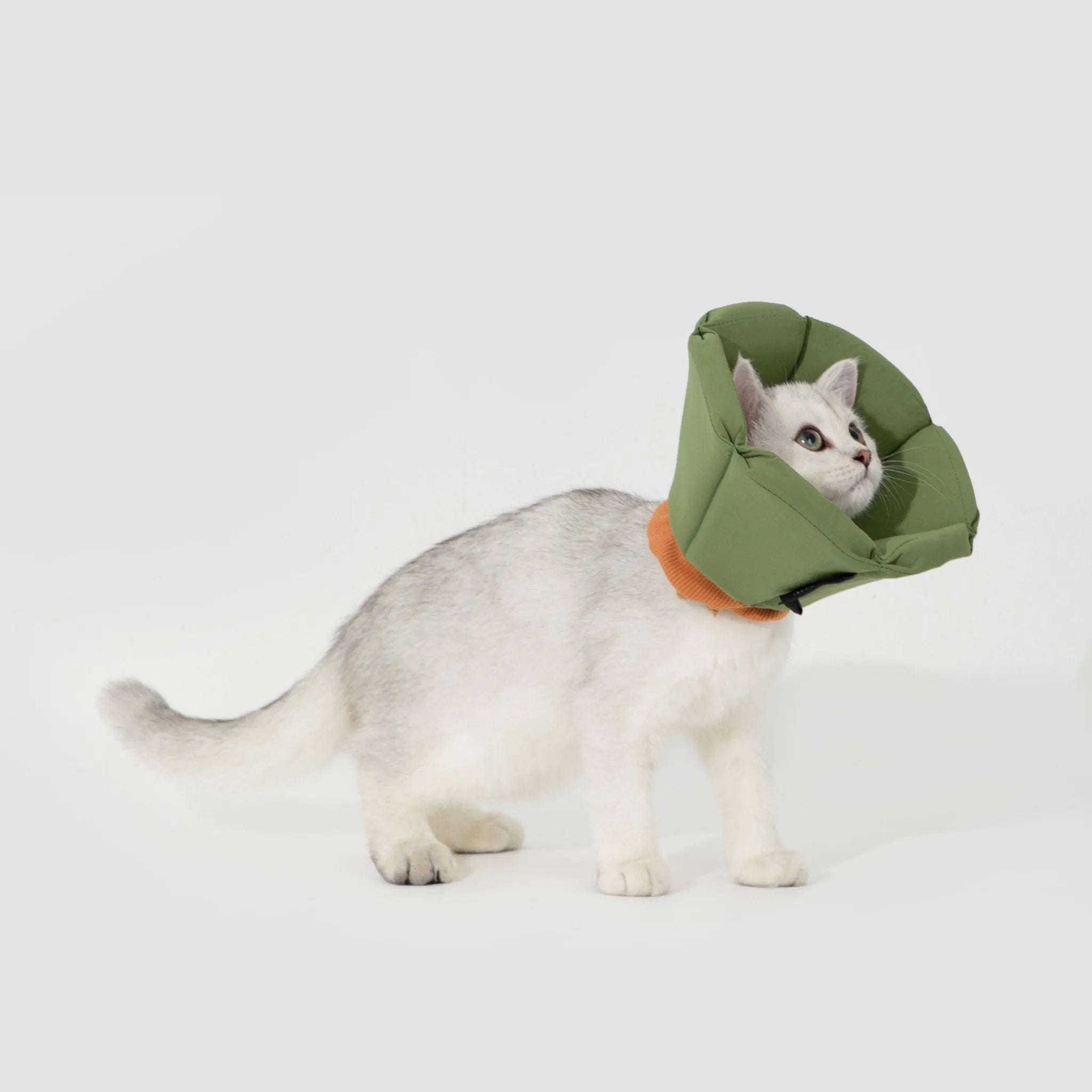 Soft Tapered Elizabethan Ring - HiDREAM