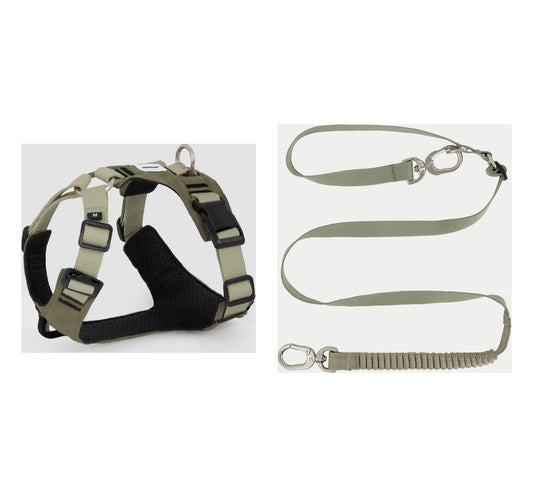 Sport dog harness and included Valley bungee leash in coordinated green tones