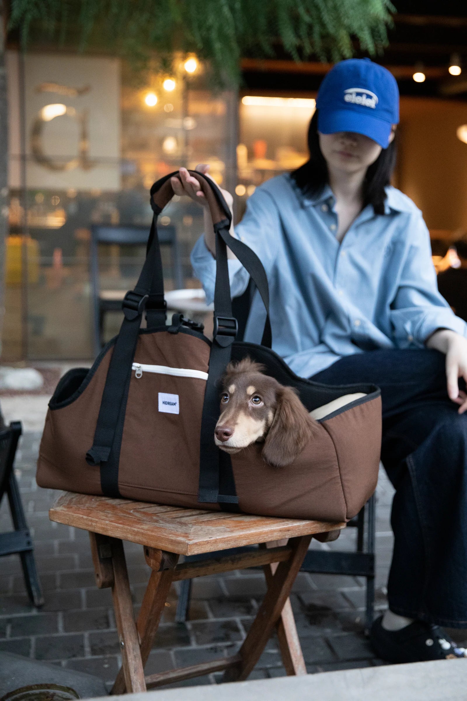 A person at a café with a brown dog in the Baguette shoulder carrier