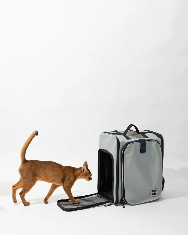 A cat approaching the open side entrance of the grey-green Tented pet backpack carrier