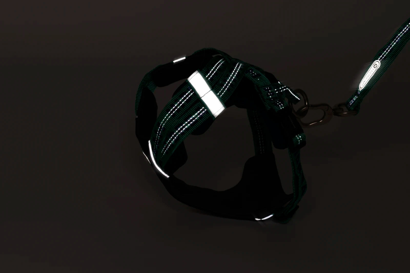 Avocado Bobo harness reflective trim illuminated against a dark background in studio photography