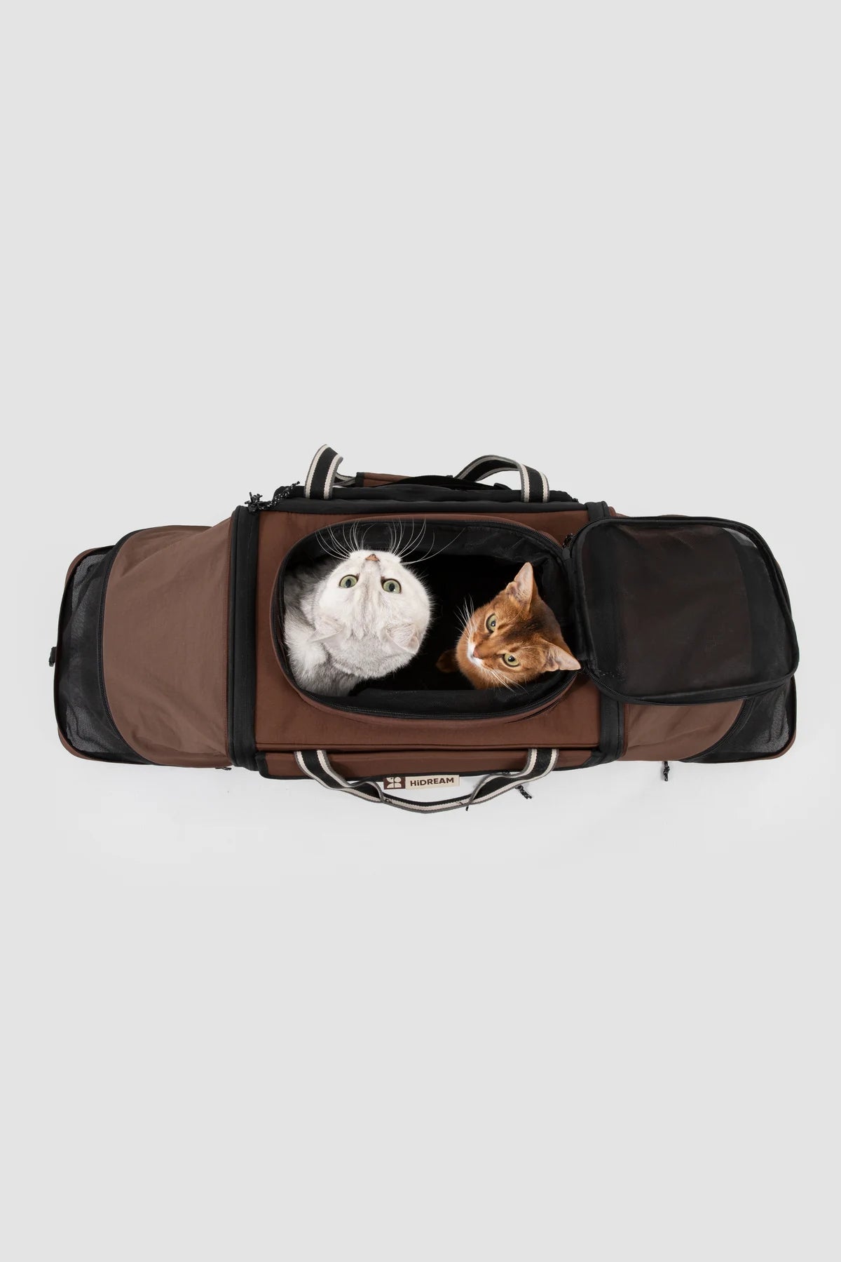 Both expansion tents open with cats demonstrating the space