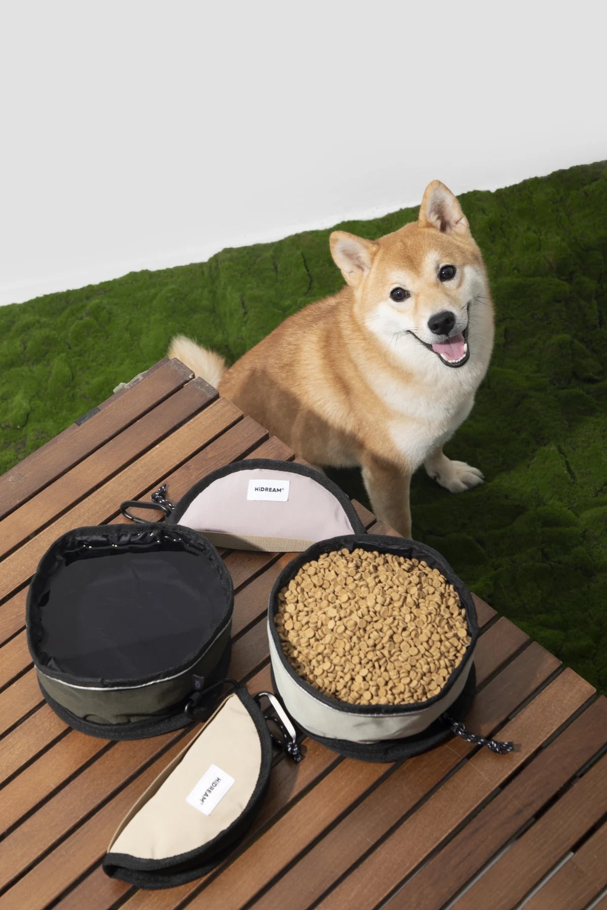 Travel bowl family shown at a supervised food break. Khaki is the single color offered here; the other colors are styling examples.
