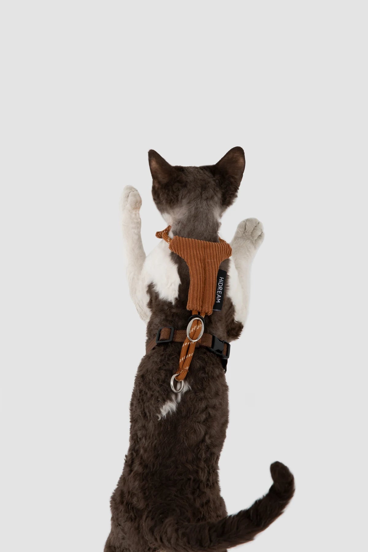 Back view of the Caramel Brown harness on a cat