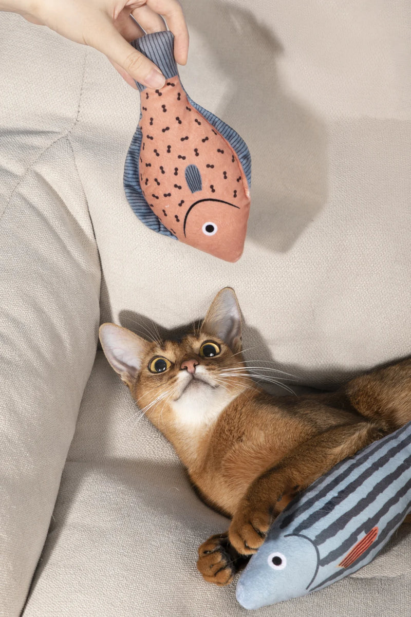 Catnip Fish Toy for Cats