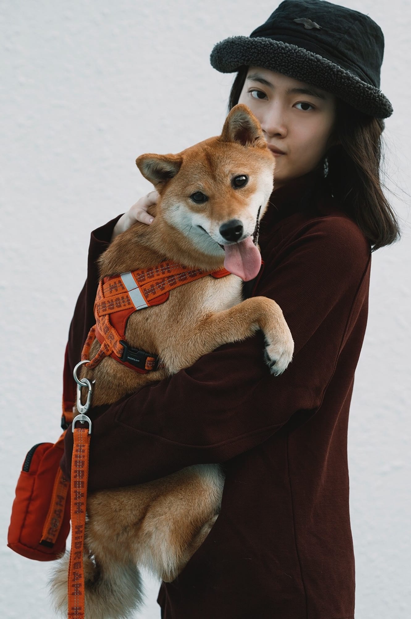 Holding a Shiba close in the Bobo Hug harness