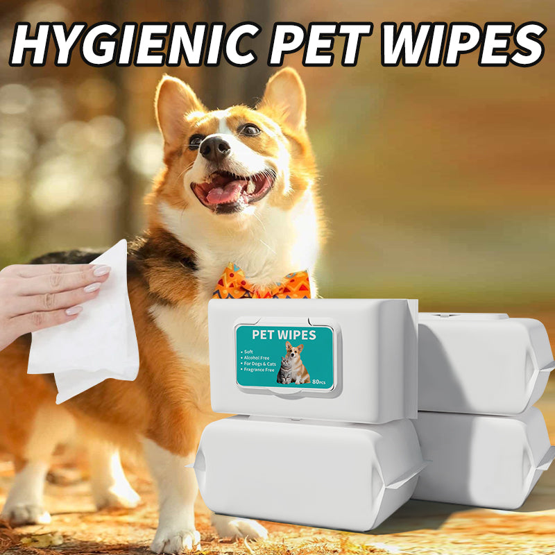 Pet Supplies: Cat and Dog Cleaning Wipes