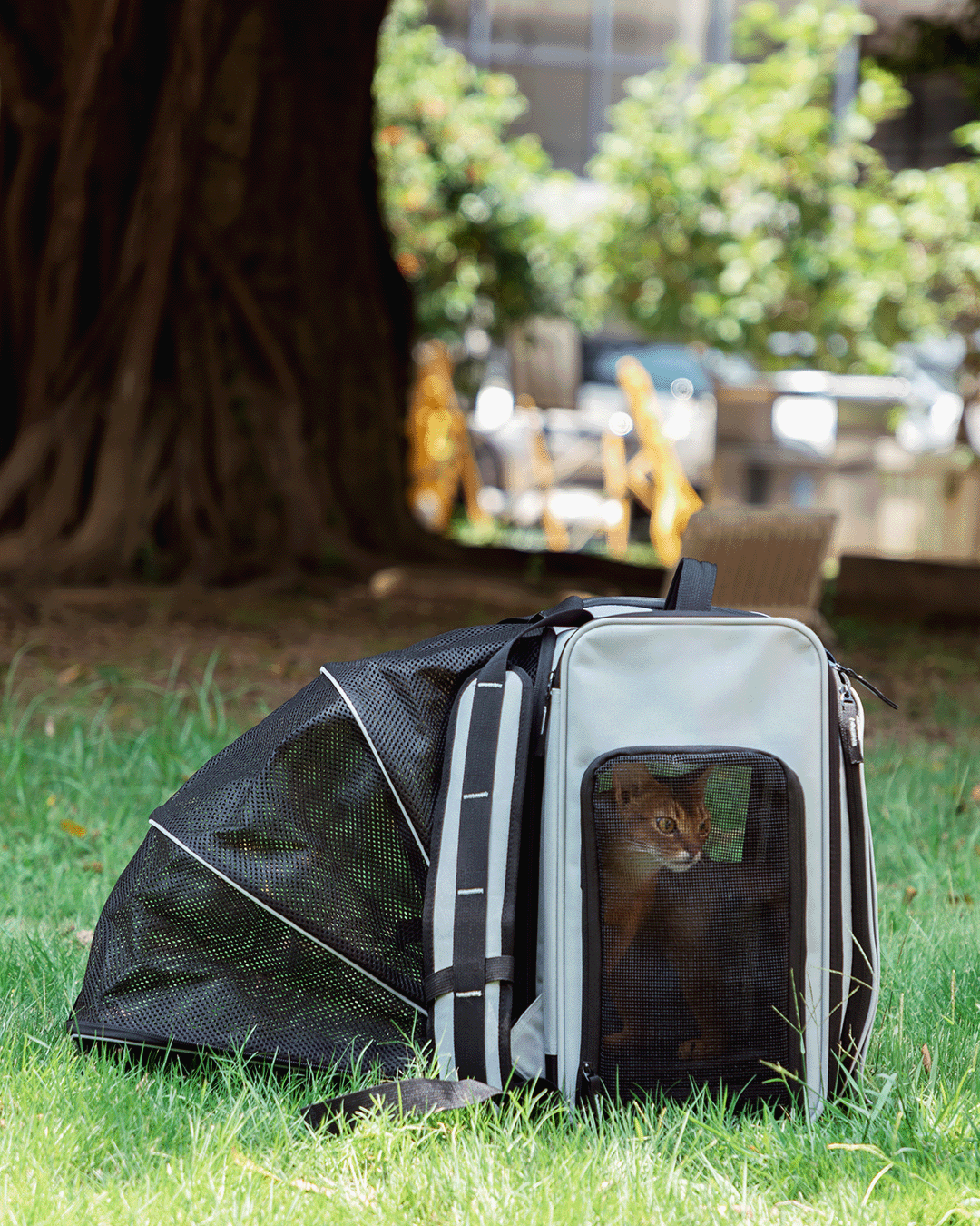 'Tented' Pet Carrier Backpack