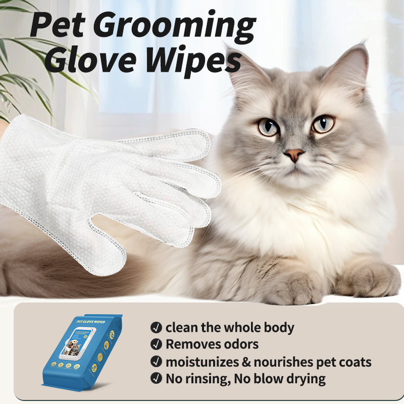 Pet Supplies: Cat and Dog Sanitizing Gloves