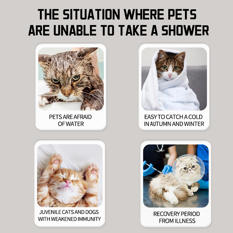 Pet Supplies: No-Rinse Bubble Bath for Cats and Dogs