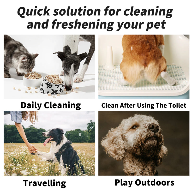 Pet Supplies: Cat and Dog Cleaning Wipes
