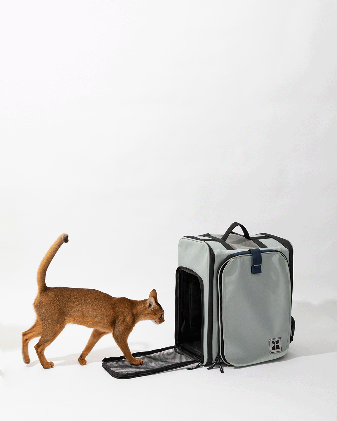 'Tented' Pet Carrier Backpack