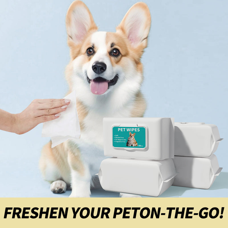 Pet Supplies: Cat and Dog Cleaning Wipes