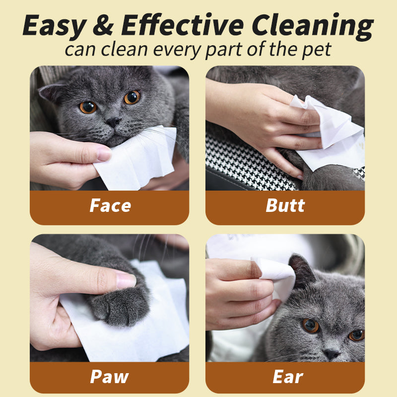 Pet Supplies: Cat and Dog Cleaning Wipes