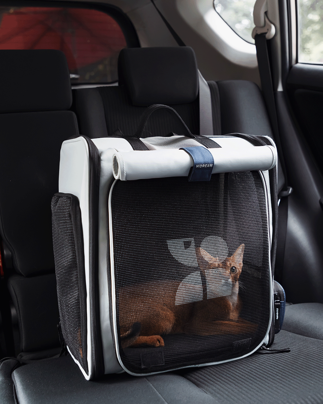 'Tented' Pet Carrier Backpack