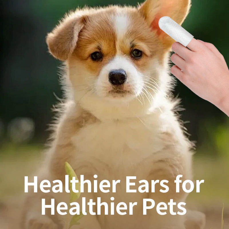 Pet Supplies: Ear-Cleaning Gloves for Cats and Dogs（20pcs）