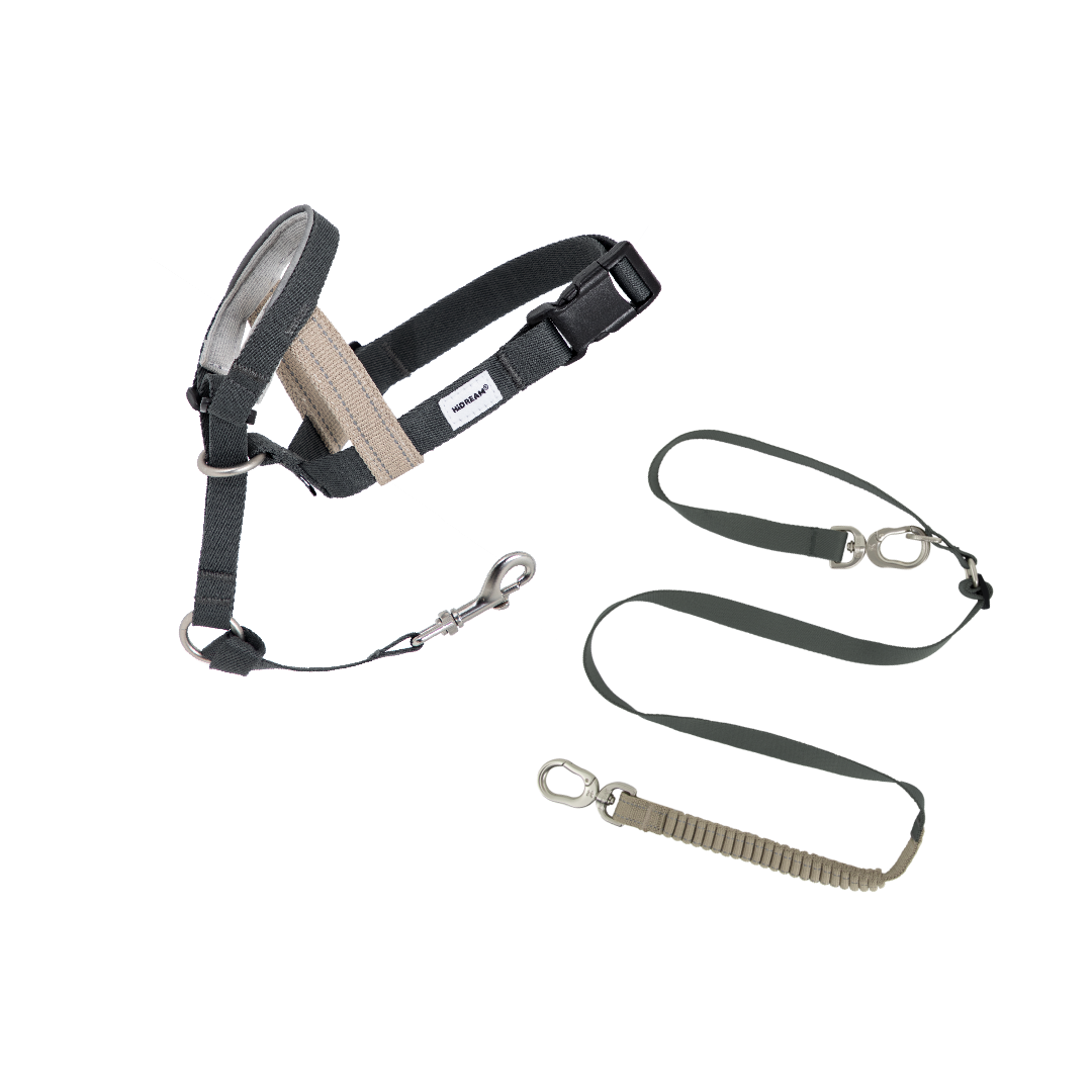 Valley Dog Head Collar & Leash Set