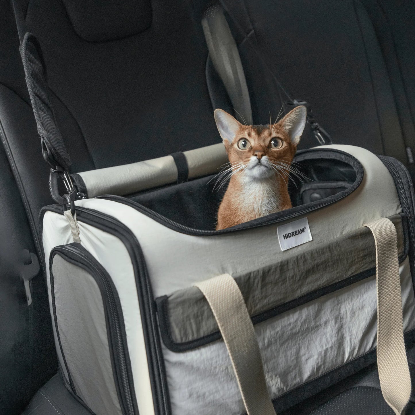 'Airline Tote' Pet Carrier - HiDREAM