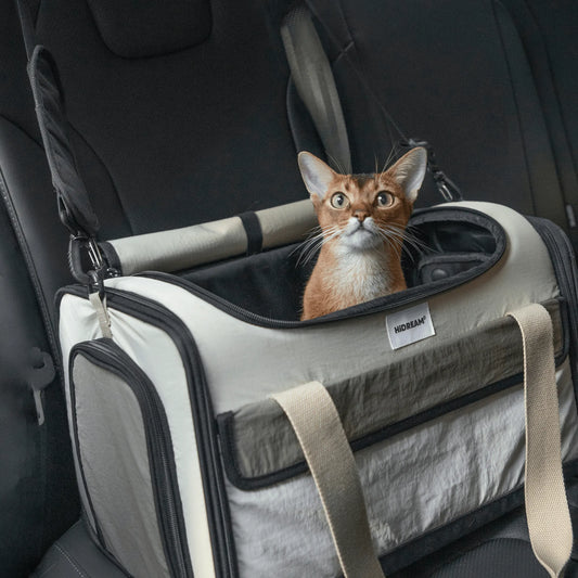 'Airline Tote' Pet Carrier - HiDREAM
