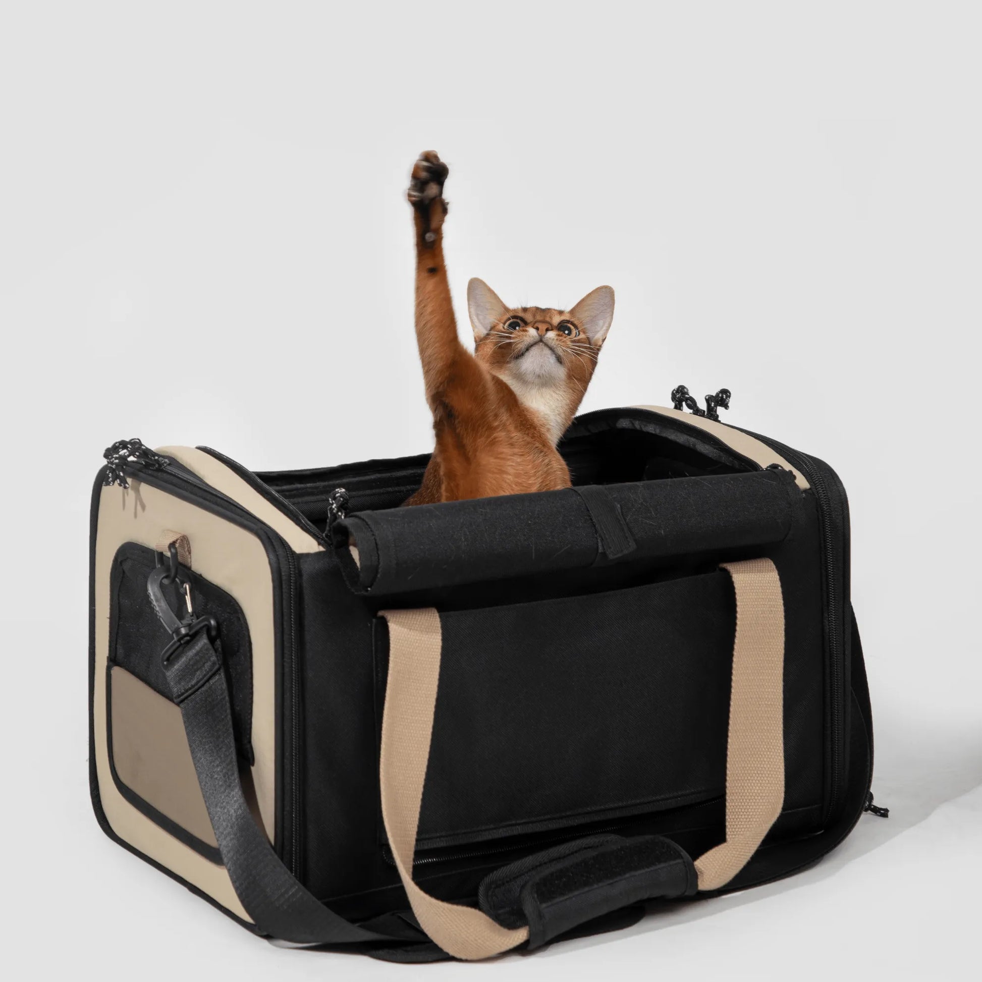 'Airline Tote' Pet Carrier - HiDREAM