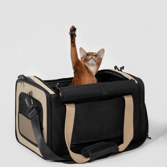 Under-Seat Travel Pet Carrier Tote – image 5