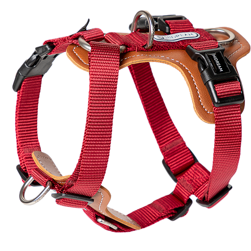 Cardamom Red Bobo H-style dog harness