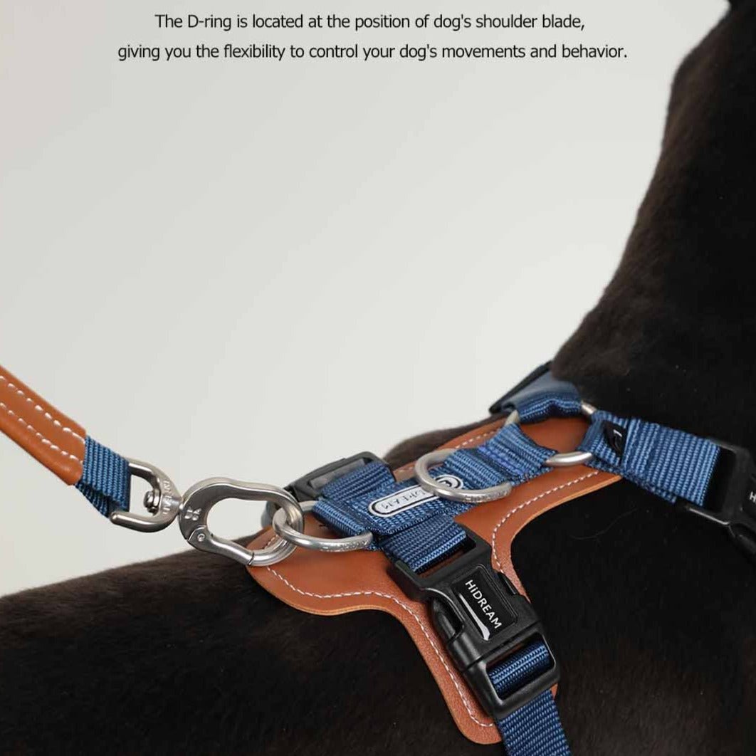 BoBo Series - Dog Harness Walk Kit - HiDREAM