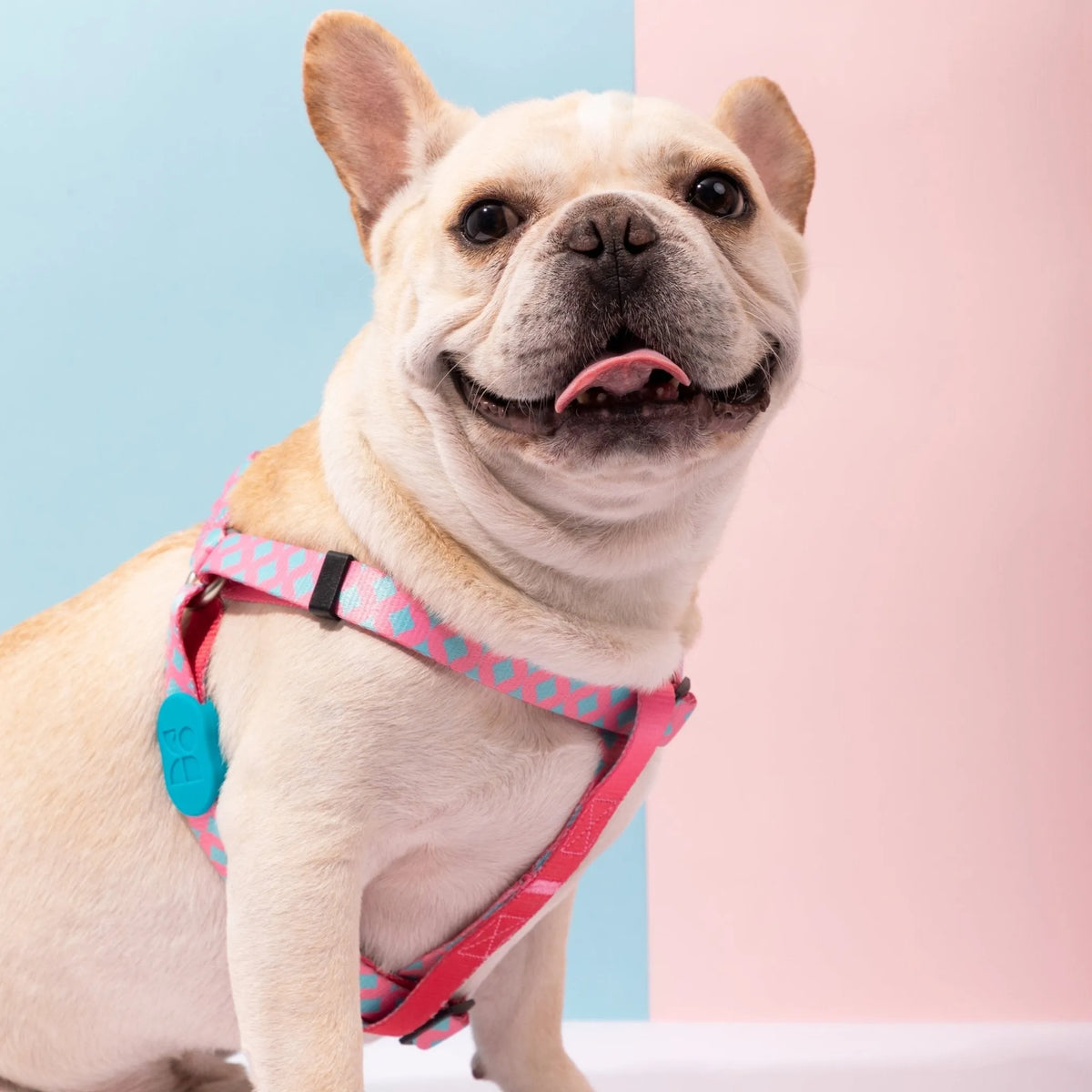 Harnais pour chien en forme de Y HiDREAM Colourful Series - Harnais pour chien rembourré et réglable sans traction