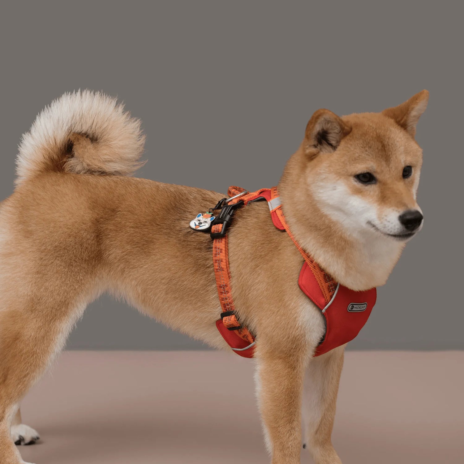[Customizable] Pet ID Tags - HiDREAM