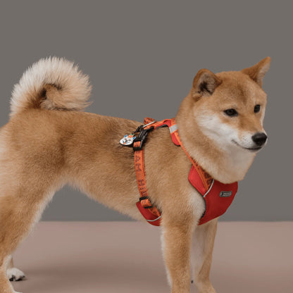 [Customizable] Pet ID Tags - HiDREAM